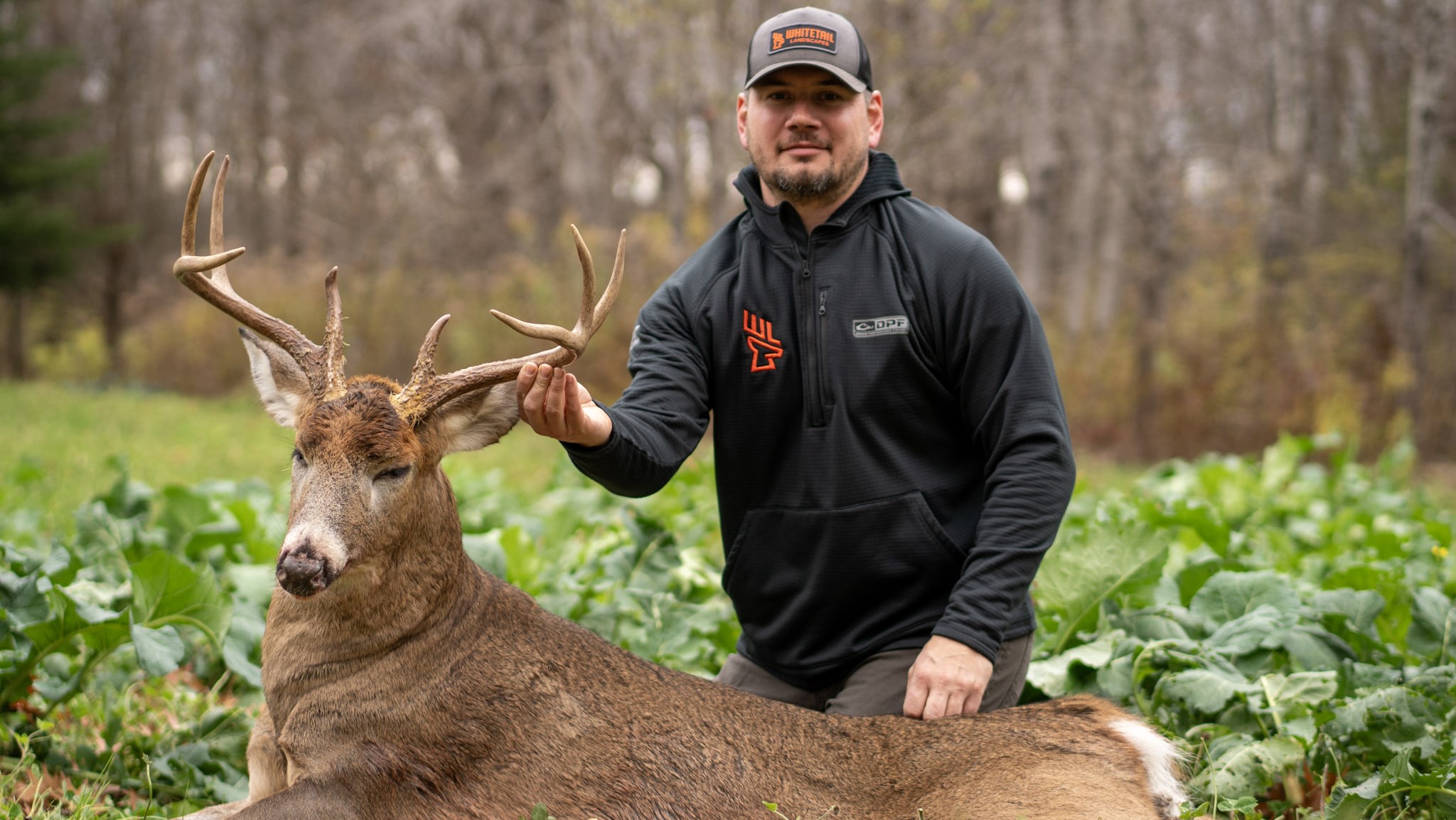 Whitetail Landscapes Keep More Deer on Your Land During Hunting Seas